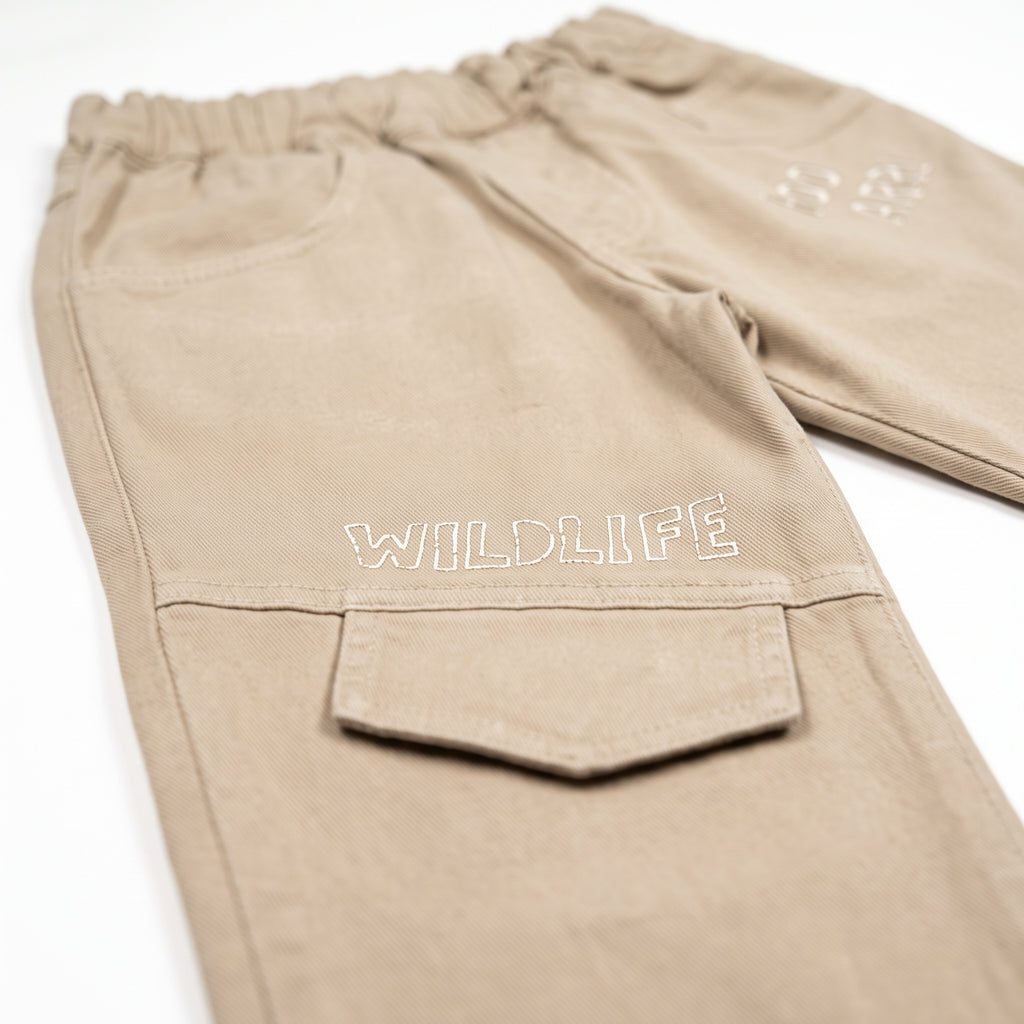Camisa Dino + Pantalon Jogger